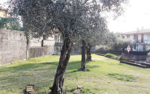 Casa Vacanze Sabrina: Plante, Branche, Lot Terre, Arbre, Herbe, Bâtiment, Suppression Des Plantes Ligneuses, Teintes Et Ombres, Paysage, Ombre