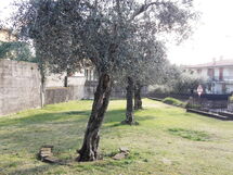 Casa Vacanze Sabrina