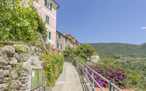 Emma House, Terrace and Sea View, Moneglia: Plante, Ciel, Propriété, Bâtiment, Fenêtre, Végétation, Pente, Fleur, Arbre, Mur