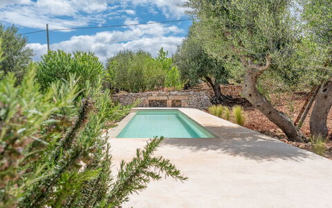 Villa La Selva: L'Eau, Plante, Communauté Des Plantes, Ciel, Nuage, Piscine, Paysage Naturel, Arbre, Ombre, Paysage