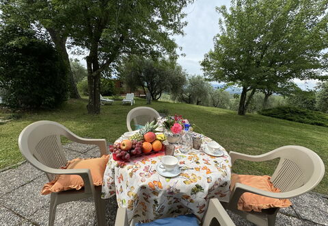 Pinocchio: Table, Plante, Meubles, Propriété, Chaise, Tableau De Plein Air, Vaisselle, Arbre, Mobilier De Jardin, Paysage Naturel