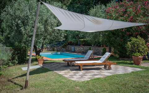 Chianti Hills Apartment, Pool, Ac: Plante, L'Eau, Table, Ombre, Pot De Fleur, Arbre, Mobilier De Jardin, Balancelle, Piscine, Loisir
