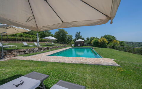 Chiara House In Galenda, Chianti, Pool And Nature: Propriété, Plante, L'Eau, Bâtiment, Ombre, Mobilier De Jardin, Piscine, Parapluie, Ciel, Rectangle
