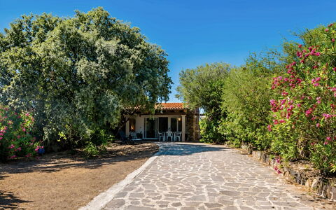 La Casa dei Nonni: Arbuste, Jardin, Ombre, Dalle, Aménagement Paysager, Cour, Allée, Hacienda, Arrière-Cour, Ferme