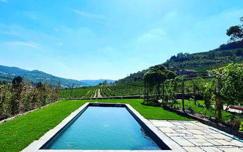 B&b Vigne Di Fagnano Without Kitchen: L'Eau, Ciel, Plante, Bleu Azur, Paysage Naturel, Piscine, Arbre, Rectangle, Plan D'Eau, Nuage