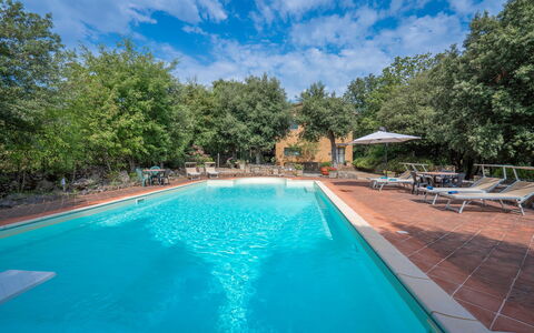 Santa Colomba House, Siena, Nature And Pool: L'Eau, Nuage, Plante, Propriété, Ciel, Piscine, Bleu Azur, Arbre, Chaise, Ombre