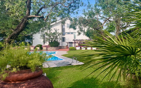 Villapronti: Plante, Bâtiment, Paysage Naturel, Arbre, Botanique, Pot De Fleur, Ciel, Architecture, Lot Terre, Végétation