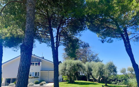 Villapronti: Plante, Propriété, Ciel, Bâtiment, Arbre, Vert, Bleu, Ombre, Paysage Naturel, Branche