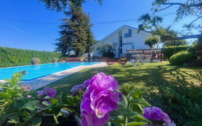 Villapronti: Fleur, Plante, Ciel, Communauté Des Plantes, Botanique, Feuille, Violet, Végétation, Paysage Naturel, Pétale