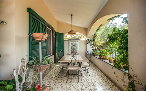 Villa Solaria with Private Pool: Plante, Bâtiment, Meubles, Plante D'Appartement, Chaise, Pot De Fleur, Fenêtre, Cadre, Canapé, Éclairage