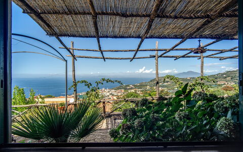 Villa Solaria with Private Pool: Ciel, Plante, La Nature, Ombre, Végétation, Bâtiment, Rectangle, Arecales, Bois, Herbe