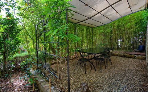 Casa Minuccia: Plante, Table, Ombre, Paysage Naturel, Végétation, Arbre, Terrestre Des Plantes, Mobilier De Jardin, Biome, Bois