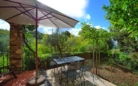 Casa Minuccia: Plante, Propriété, Ciel, Communauté Des Plantes, Nuage, Ombre, Table, Botanique, Mobilier De Jardin, Bâtiment