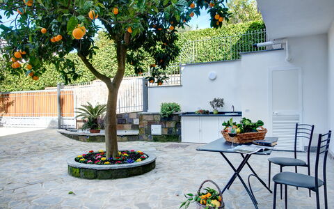 Clementine Country House: Plante, Fleur, Table, Pot De Fleur, Plante D'Appartement, Arbre, Bâtiment