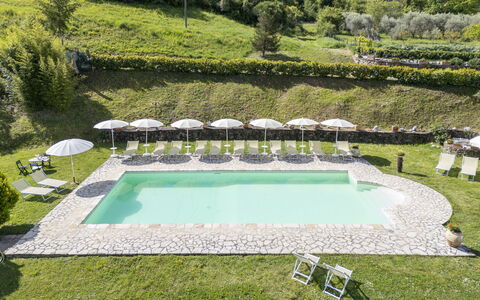 Marcigliana Cottage, Pool, Radicondoli: Mobilier De Jardin, Piscine, Pelouse, Recours, Jardin, Eco Hôtel, Tableau De Plein Air, Balancelle, Hôtel, Aménagement Paysager