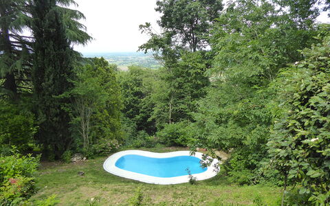 Casa Delle Eriche, Colli Euganei, Pool, Wifi: Jardin, Ombre, Pelouse, Arrière-Cour, Aménagement Paysager, Piscine, Cour, Des Bois, Parc, À Feuilles Persistantes