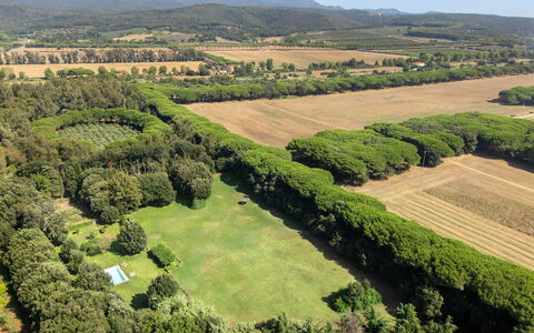 Casale Rosa: Arbre, Environnement Naturel, Paysage Naturel, Paysage, Vue Du Ciel, Photographie Aérienne, Plaine, Lot Terre, Plantation, Champ