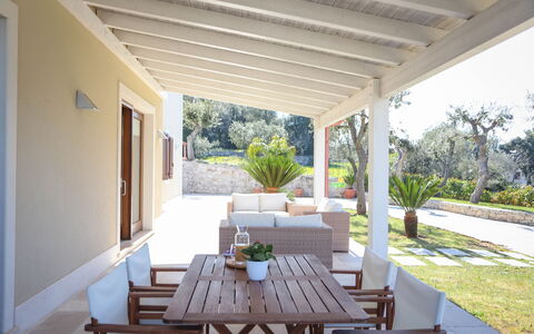 Villa Don Sante In Locorotondo Puglia: Plante, Table, Meubles, Propriété, Design Intérieur, Ombre, Chaise, Bâtiment, Plante D'Appartement, Arbre