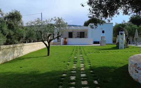Villa Adriatica Near Ostuni Puglia: Ciel, Plante, Propriété, Arbre, Nuage, Lot Terre, Herbe, Arbuste, Famille Grass, Paysage