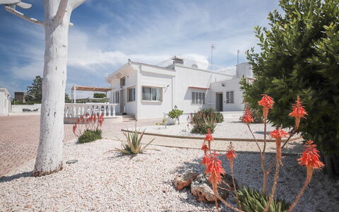 Villa Azzurra Seaview In Monopoli, Puglia: Nuage, Plante, Ciel, Propriété, Bâtiment, Fenêtre, Arbre, Maison, Lot Terre, Arecales