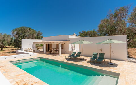 Villa Jolie: Bleu, Ombre, Piscine, Conception, Aménagement Paysager, Tuile, Villa, Recours