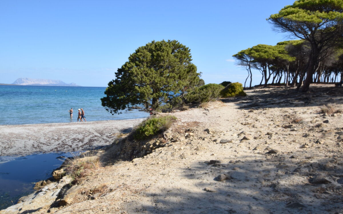 Casa Caterina In Budoni