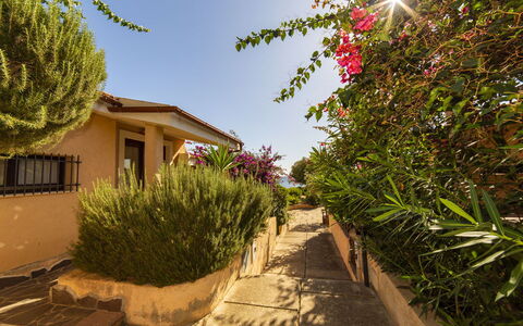 Bilocale Apartments Seaside: Arbuste, Domicile, Jardin, Aménagement Paysager, Ombre, Allée, Cour, Hacienda, Passerelle, Arrière-Cour