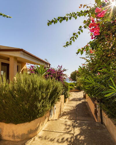 Trilocale Apartments Seaside: Arbuste, Domicile, Jardin, Aménagement Paysager, Ombre, Allée, Cour, Hacienda, Passerelle, Arrière-Cour
