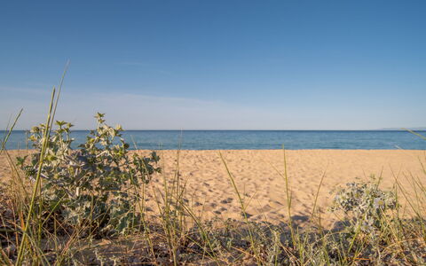 Doxina: Ciel, Bleu, Jour, Environnement Naturel, Horizon, Été, Écorégion, Plage, Mer, Le Sable