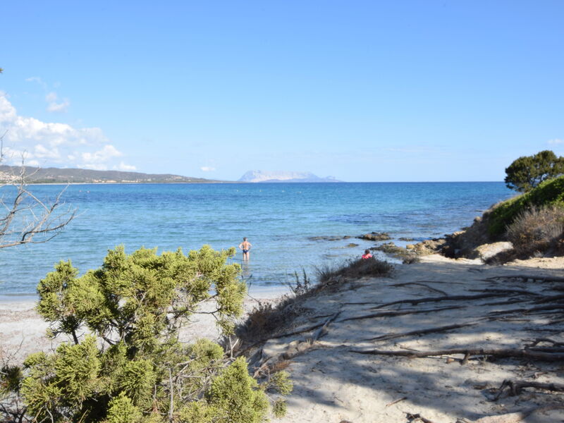 Casa San Lorenzo With Garden In Budoni