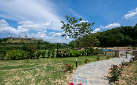 Il Borgo, Borgo Campassini, Monteriggioni: Herbe, La Nature, Paysage, Prairie, Arbuste, Lot Terre, Plaine, Jardin, Printemps, Plantation