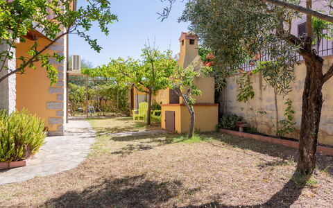 Remo: Mur, Arbuste, Jardin, Pot De Fleur, Arrière-Cour, Ombre, Aménagement Paysager, Plante D'Appartement, Cour, Dalle