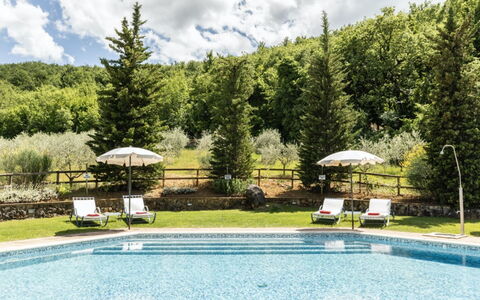 Podere Monti: Meubles, Piscine, Recours, Mobilier De Jardin, Balancelle, Mélèze, Caractéristique De L'Eau, Eco Hôtel, Thermes