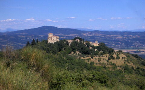 Borgo di Fighine: Arbre, La Nature, Végétation, Colline, Paysage, Montagnes, Prairie, Communauté Des Plantes, Zone Rurale, Station De Montagne