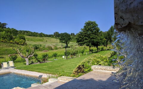 Podere della Bruciata: Arbuste, Jardin, Aménagement Paysager, Arrière-Cour, Piscine, Jardin Botanique, Plantation, Caractéristique De L'Eau, À Feuilles Persistantes
