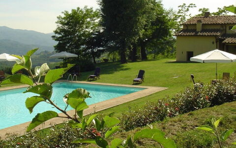 Magnolia e Camelia: Ferme, Eco Hôtel, Mobilier De Jardin, Piscine, Cour, Villa, Hacienda, Arrière-Cour