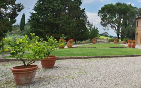 Il Tinaio: Arbuste, Jardin, Pot De Fleur, Aménagement Paysager, Dalle, Passerelle, Cour, Pelouse, Hacienda
