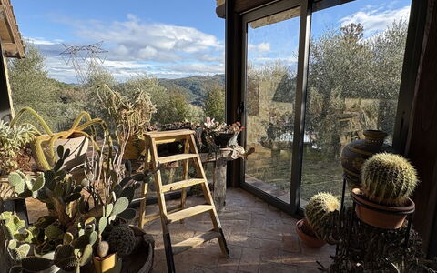 Poggio Aperto: Pot De Fleur, Jardin, Aménagement Paysager, Plante D'Appartement, Arrière-Cour, Structure En Plein Air