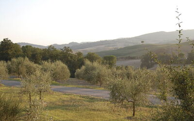 Santo Stefano