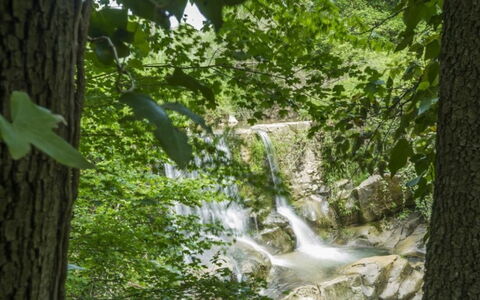 Mulino della Frateria: Ressources En Eau, L'Eau, Plan D'Eau, La Nature, Environnement Naturel, Paysage Naturel, Branche, Courant, Cours D'Eau, Végétation