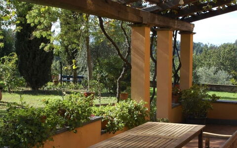 Podere Torre: Bois, Arbuste, Jardin, Communauté Des Plantes, Ombre, Couverture De Sol, Arrière-Cour, Structure En Plein Air, Aménagement Paysager