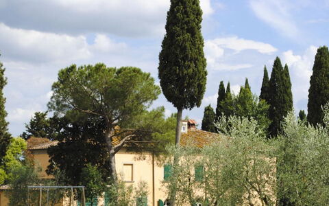 Villa Il Poggio: Arbre, Feuille, Branche, Suppression Des Plantes Ligneuses, À Feuilles Persistantes, Aménagement Paysager, Famille Pine