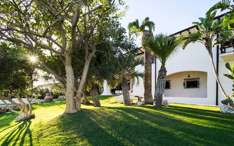 Villa Luna Blu: Arbre, Architecture, Ombre, Jardin, Biens, Aménagement Paysager, Hacienda, Recours