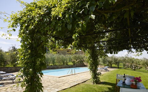 Villa del Riccio: Ombre, Mobilier De Jardin, Arrière-Cour, Piscine, Eco Hôtel