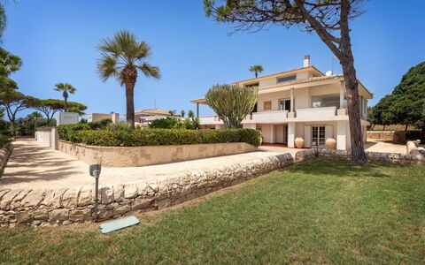 Villa delle Palme: Zone Résidentielle, Domicile, Biens, Manoir, Aménagement Paysager, Jardin, Hacienda, Balcon, Villa