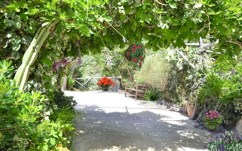 Villa Campanella: Fleur, Végétation, Arbuste, Jardin, Printemps, Floristique, Jardin Botanique, Passerelle, Piste