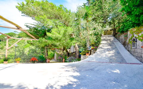 Villa Campanella: Arbre, Feuille, Branche, Végétation, Suppression Des Plantes Ligneuses, Passerelle, Ombre, Escaliers, Aménagement Paysager, Allée