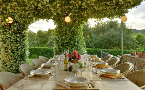Villa Anima: Meubles, Table, Vaisselle, Tableau De Plein Air, Jardin, Nappe De Table, Chaise, Mobilier De Jardin, Restaurant, Table Cuisine Et Salle A Manger