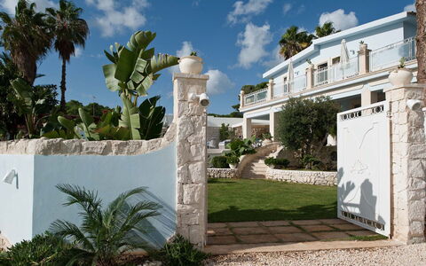 Villa Teresa: Biens, Ombre, Hacienda, Manoir, Recours, Aménagement Paysager, Villa, Béton, Jardin