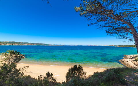 Baia Bianca Apartments Sardinia: Bleu, L'Eau, Plan D'Eau, Environnement Naturel, Côte, Plage, Cotiers Et Relief Océaniques, Horizon, Paysage Naturel, Mer
